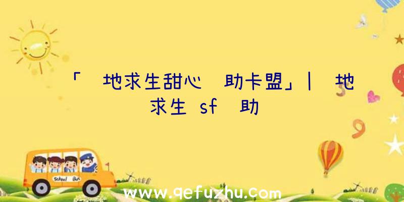 「绝地求生甜心辅助卡盟」|绝地求生